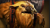 earthshaker