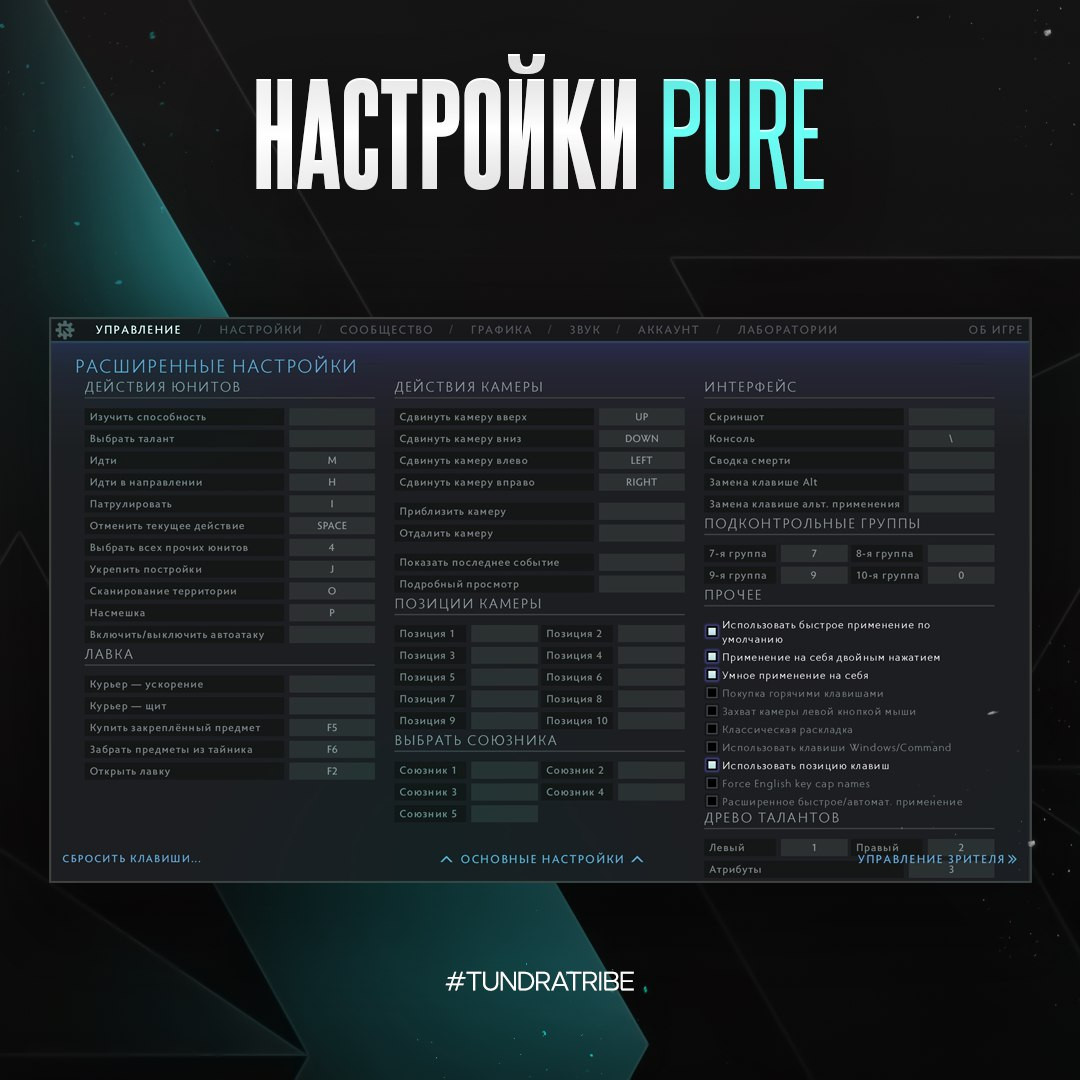 Pure показал свои настройки в Dota 2